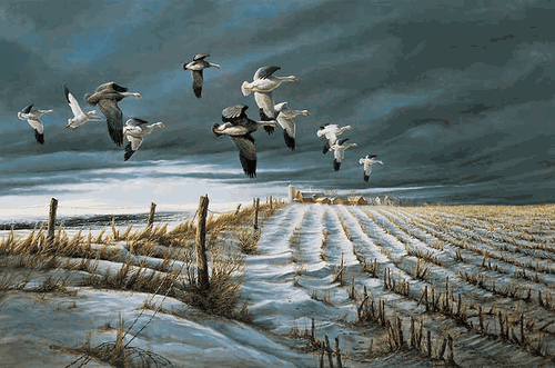 (image for) Winter Snows Encore